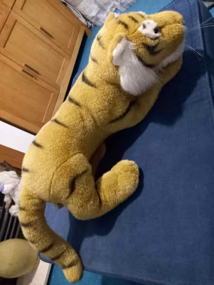 Photo of free Toy tiger (Littlemore OX4) #1