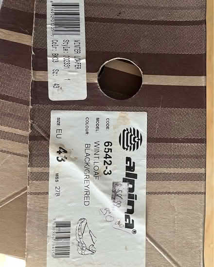 Photo of free Alpina x country ski boots (Somerville, Spring Hill) #2