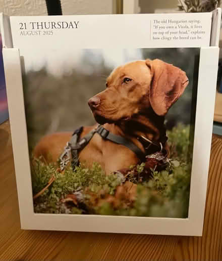 Photo of free Day to day desk calendar 2025 (Waddon) #3