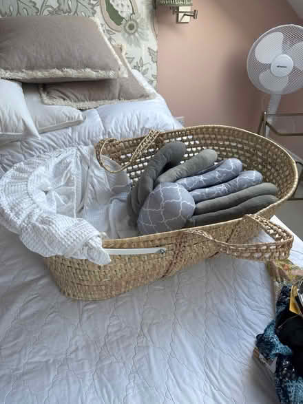Photo of free Basinet and Feeding Pillow (Fulham Palace Rd W6) #1