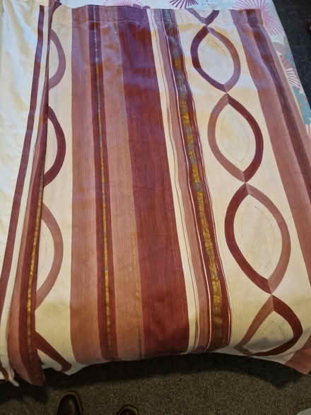 Photo of free Curtains 54x66cm (lined/hooks) (TW15) #1