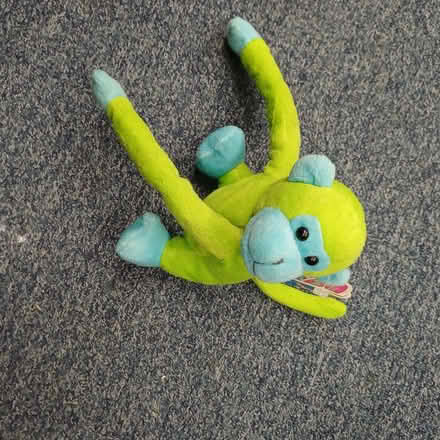 Photo of free Green monkey fluffy (Sydenham SE26) #1