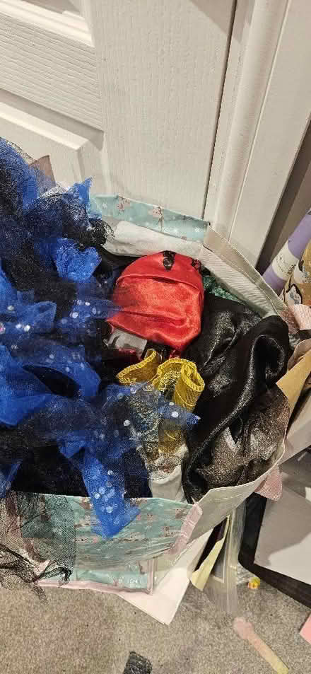 Photo of free Bag of fancy dress items age 7-8ish (Chelmsford CM1) #1