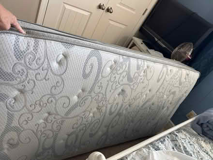 Photo of free Regular size twin mattress (Fishhawk West, Lithia, Florida) #1