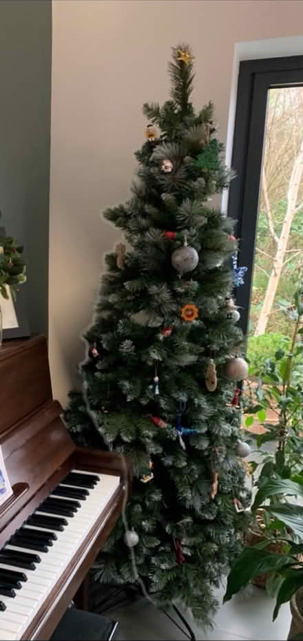 Photo of free Christmas Tree Xmas (SM4 South Merton) #2