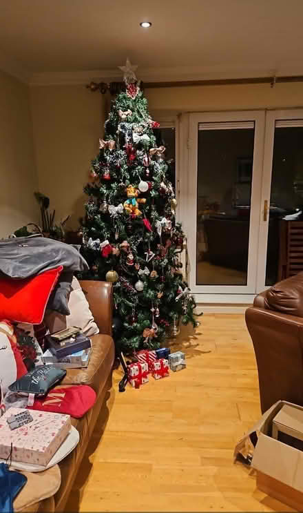 Photo of free Christmas tree (Castleknock) #1