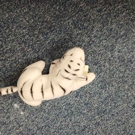 Photo of free White tiger fluffy (Sydenham SE26) #1
