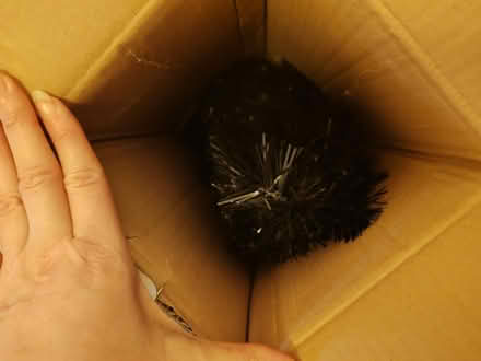 Photo of free 3ft black Christmas tree (Barbourne, WR1) #2