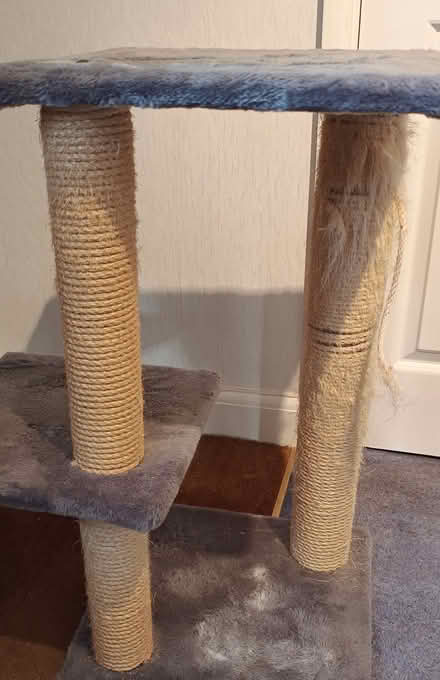Photo of free Cat tree (Finchampstead RG40) #2