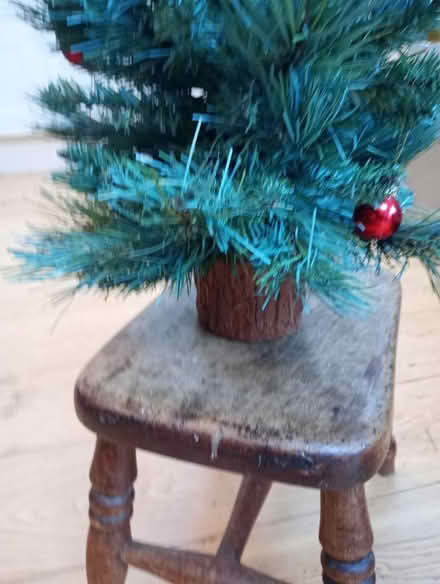 Photo of free Little Christmas Tree (Garden City OX5) #2