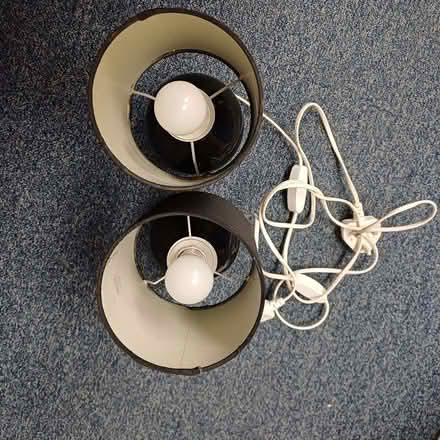 Photo of free Pair of electric lamps (Sydenham SE26) #3