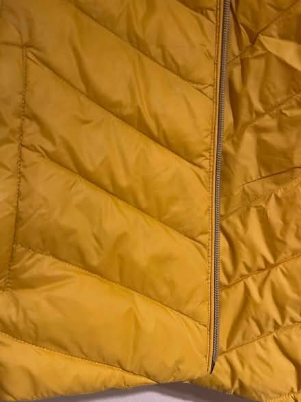 Photo of free Lightweight Jacket (Perivale) #2