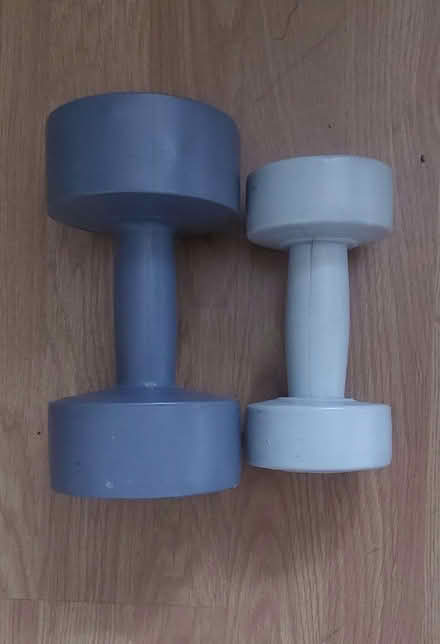 Photo of free 2 dumbbells 1.5kg and 3kg (Ham TW10) #2