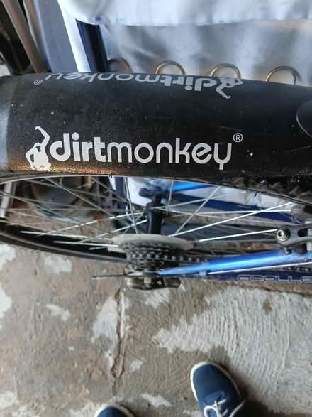 Photo of free Ladies bicycle (Old Catton) #2