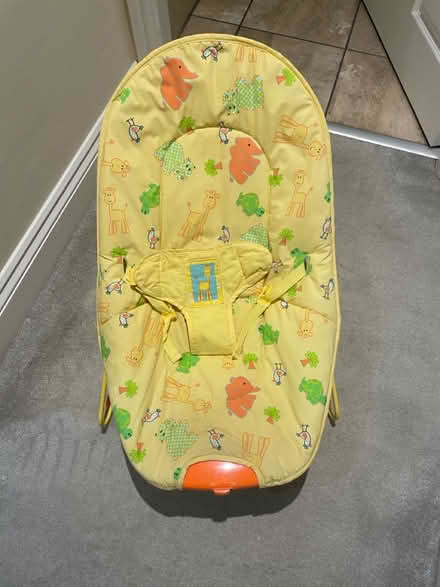 Photo of free Baby bouncer, play nest etc (Morpeth NE61) #2