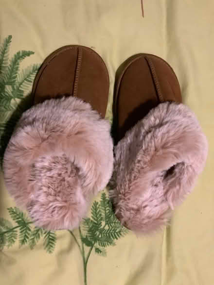 Photo of free Ladies slippers size 6 (Aspley NG8) #1