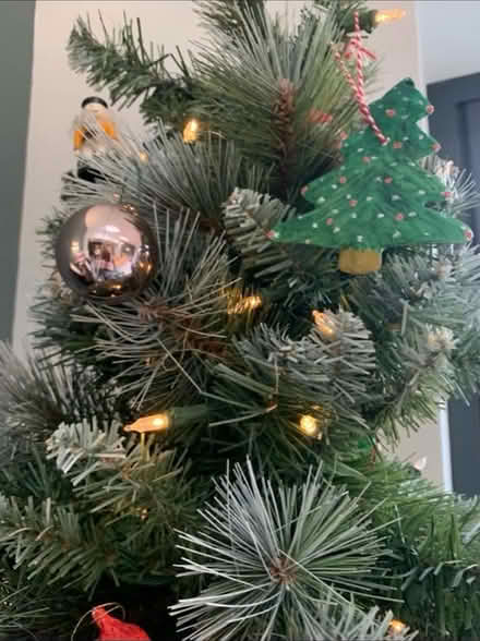 Photo of free Christmas Tree Xmas (SM4 South Merton) #1