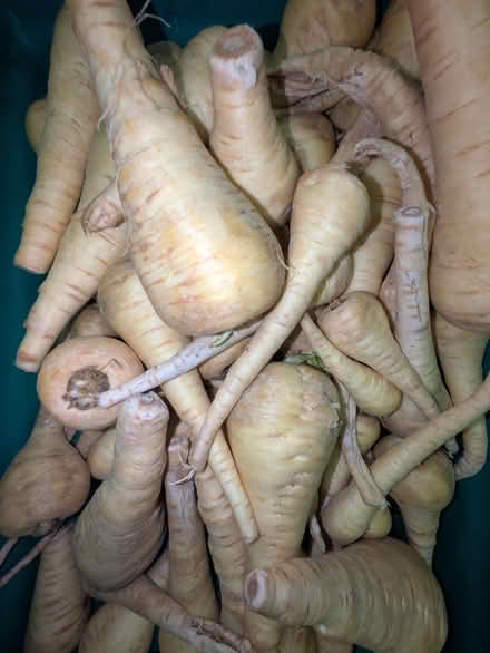 Photo of free Vegetables and bananas (E14 Isle of Dogs) #3