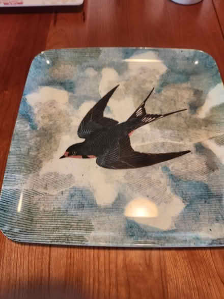 Photo of free Serving trays (Brookland) #3