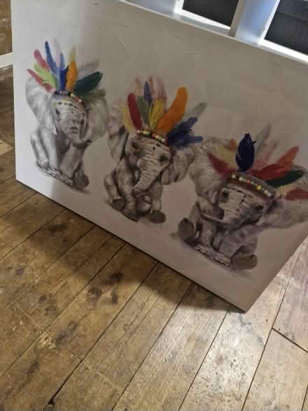 Photo of free Canvas (Canterbury) #1