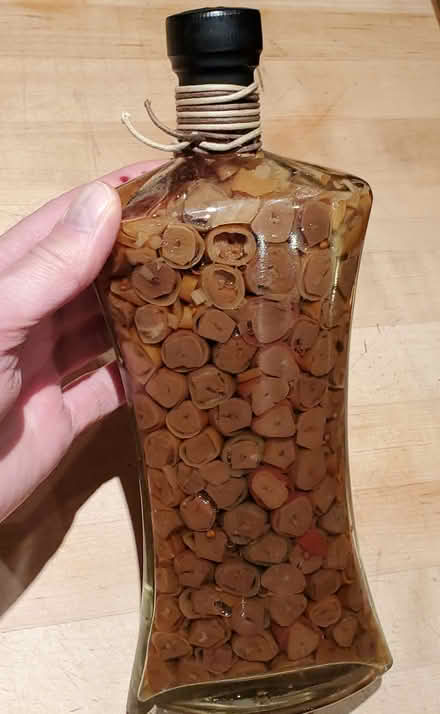 Photo of free Decorative Glass Bottle (Mooney's Bay) #2