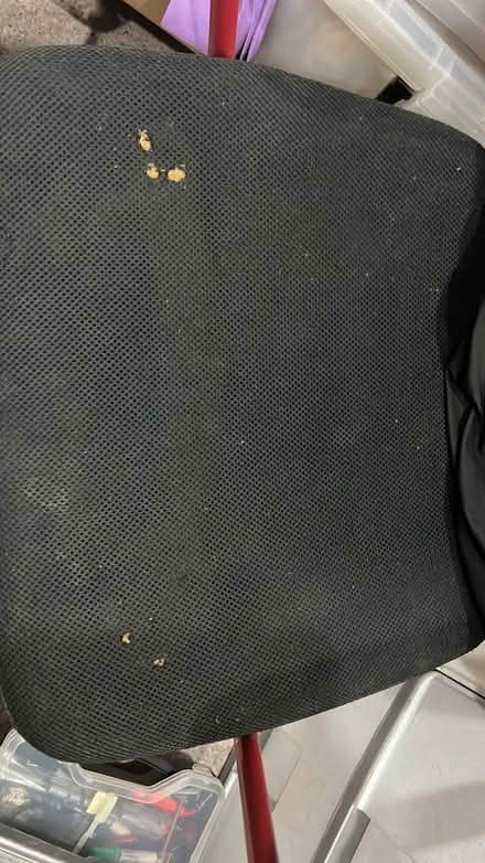 Photo of free Office Chair & Tatami (Toa Payoh Lorong 7 Block 8) #2