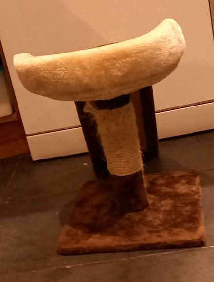 Photo of free CAT scratch (Twyford RG10) #1