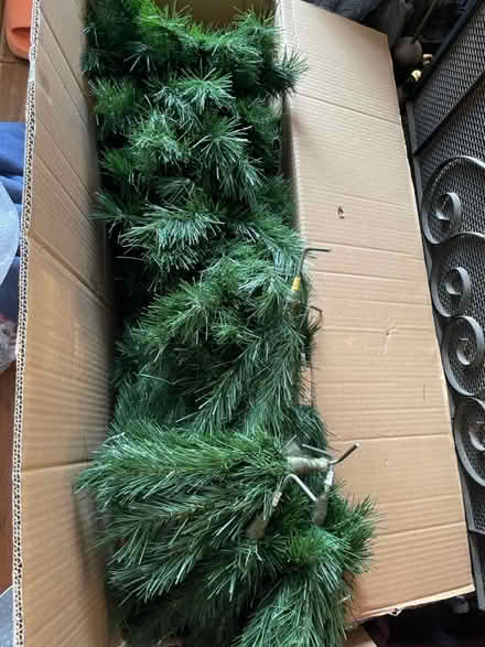 Photo of free Christmas Tree (BR6 Orpington / Chelsfield) #1