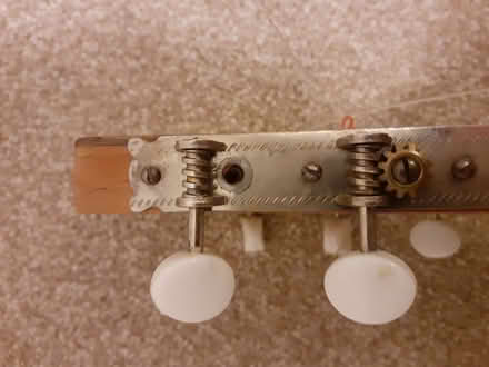 Photo of free Guitar with cover (Larkhall) #2