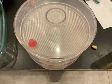 Photo of free Terminator, sprouts maker (Hampstead, mw3) #1