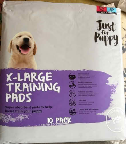 Photo of free Dog XL incontinance training pads and XXL dog nappies (Benton NE12) #3