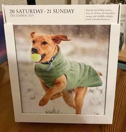 Photo of free Day to day desk calendar 2025 (Waddon) #1