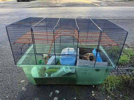 Photo of free Hamster cage (Cowley OX4) #1