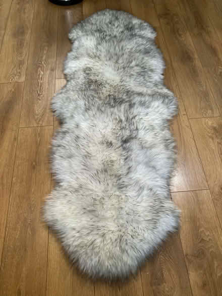 Photo of free Double sheep skin rug (World's End RH15) #1