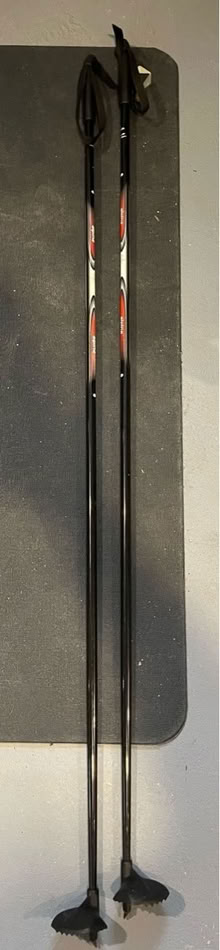 Photo of free Alpina cross country ski poles (Somerville, Spring Hill) #1