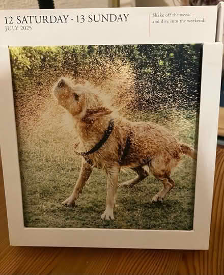 Photo of free Day to day desk calendar 2025 (Waddon) #2