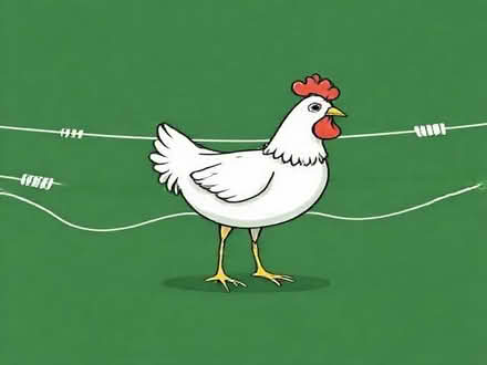 Photo of Chicken wire (Meifod SY22) #1