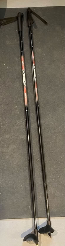 Photo of free Alpina x country ski poles large (Somerville, Spring Hill) #1