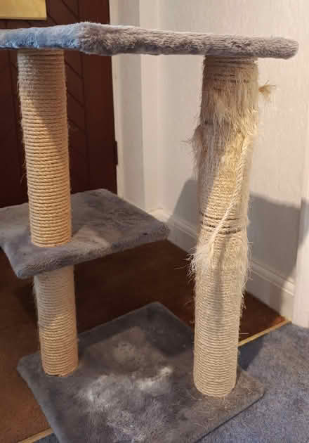 Photo of free Cat tree (Finchampstead RG40) #1