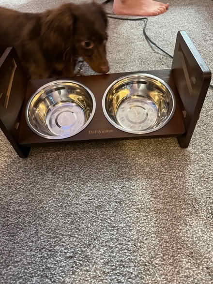 Photo of free Dog Bowl (Dumfries) #3