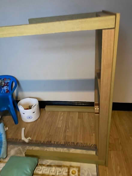 Photo of free Table Beech (Treeton, S60) #1