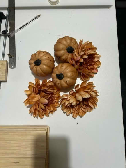 Photo of free Autumnal decoration (Chiswick) #1