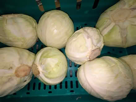 Photo of free Vegetables and bananas (E14 Isle of Dogs) #4