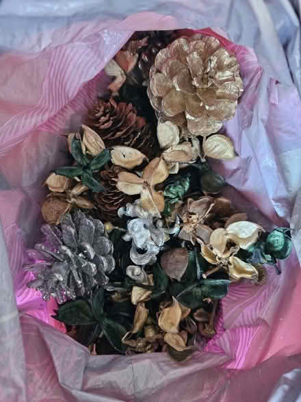 Photo of free Christmas decor (EC1R) #1