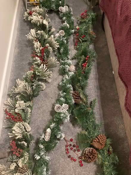 Photo of free 3 Christmas Garlands (Ravensmoor CW5) #1