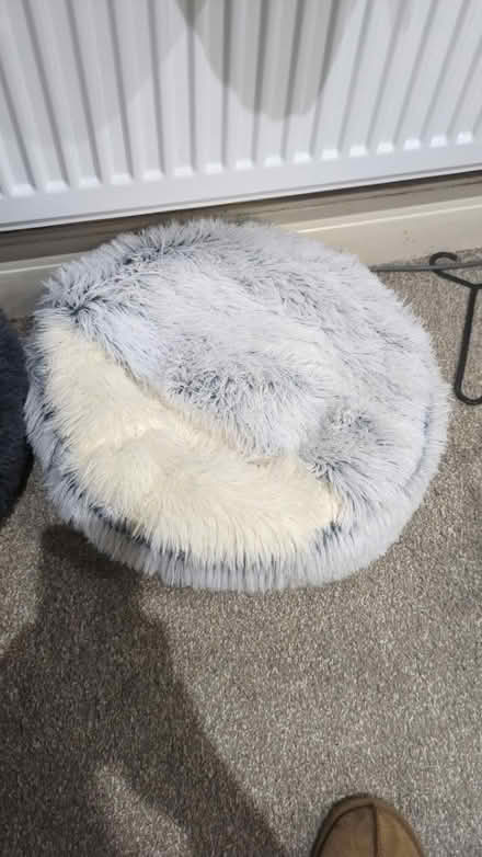 Photo of free Fluffy cat bed (Sutton) #1