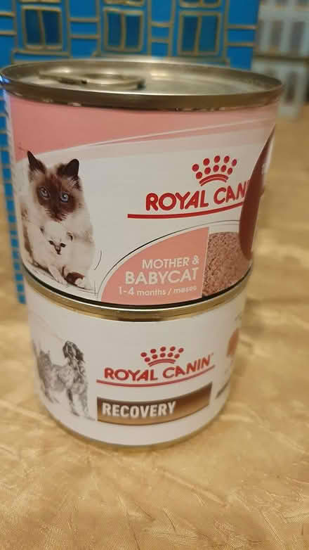 Photo of free SW2 Royal canin and Felix cat food (Lambeth) #1