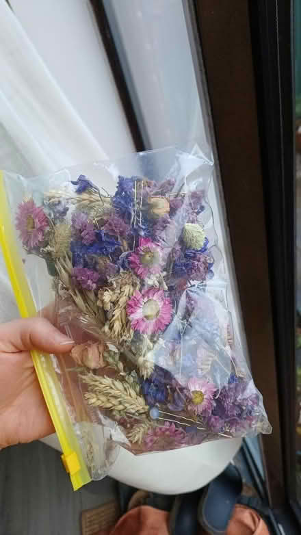 Photo of free Bags of dried flower petals (Castlebeck S2) #2