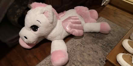 Photo of free Pegasus Large Teddy (TN24) #1