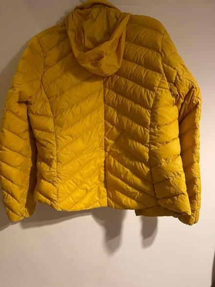 Photo of free Lightweight Jacket (Perivale) #4